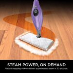 steam mop 1