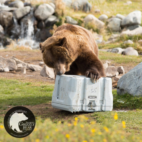 lifetime 55 quart 90820