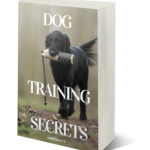 Dog Training Secrets 1